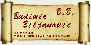 Budimir Biljanović vizit kartica
